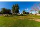 Expansive community green space with mature trees at 14818 N 103Rd Ave, Sun City, AZ 85351