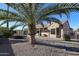 Desert landscaping with palm trees and a gravel backyard at 17561 N Saddle Ridge Dr, Surprise, AZ 85374