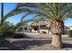 Landscaped backyard with gravel and a large palm tree at 17561 N Saddle Ridge Dr, Surprise, AZ 85374