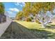 Landscaped yard with mature trees and a whitewashed tree at 18335 W Orangewood Ave, Waddell, AZ 85355