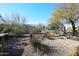 Landscaped backyard with desert plants and gravel at 18658 E Mazatzal Cir, Rio Verde, AZ 85263