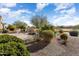Landscaped backyard with desert plants and golf course view at 26573 W Abraham Ln, Buckeye, AZ 85396