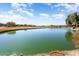 Peaceful pond view with lush green landscaping and homes in background at 26573 W Abraham Ln, Buckeye, AZ 85396