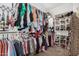 Large walk-in closet with ample shelving and hanging space at 18147 W Desert View Ln, Goodyear, AZ 85338