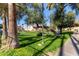 Landscaped grounds with walkways and mature trees at 4901 S Calle Los Cerros Dr # 241, Tempe, AZ 85282
