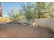 Landscaped backyard with a block wall and some trees at 867 N Arroya Rd, Apache Junction, AZ 85119