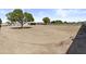 Wide shot of large dirt backyard with perimeter wall and mature trees at 9437 W Avenida Del Sol Ave, Peoria, AZ 85383