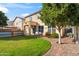 Landscaped backyard with grassy area and home view at 9931 W Odeum Ln, Tolleson, AZ 85353