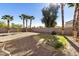 Landscaped backyard with gravel and mature palm trees at 1133 E Dust Devil Dr, San Tan Valley, AZ 85143