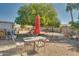 Backyard patio furniture under a large shade tree at 15489 N Ridgeview Rd, Sun City, AZ 85351