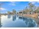 Scenic community lake with ducks and surrounding trees at 1671 E Dogwood Ln, Gilbert, AZ 85295