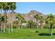 Landscaped green space with palm trees and mountain view at 18187 W Wind Song Ave, Goodyear, AZ 85338