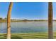 Relaxing view of a lake with palm trees in the foreground at 18187 W Wind Song Ave, Goodyear, AZ 85338