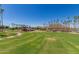 Scenic park with grassy areas, palm trees, and a gazebo at 18187 W Wind Song Ave, Goodyear, AZ 85338