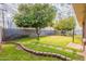 Spacious backyard with lush lawn, fruit trees, and stone border at 3249 W Maryland Ave, Phoenix, AZ 85017