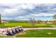 Golf course with a row of parked golf carts at 4332 E Vallejo Ct, Gilbert, AZ 85298