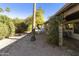 Landscaped backyard with gravel, desert plants, and a tall palm tree at 7756 E Coralbell Ave, Mesa, AZ 85208