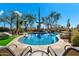 Inviting pool surrounded by desert landscaping at 8375 E Via Dona Rd, Scottsdale, AZ 85266