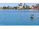 Serene lake view with geese; peaceful waterfront living at 844 W Wagner Dr, Gilbert, AZ 85233