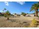 Spacious backyard with gravel landscaping, mature plants, and a stone pathway at 12323 W Tigerseye Dr, Sun City West, AZ 85375