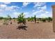 Landscaped backyard with desert landscaping and mountain views at 20515 N 264Th Ave, Buckeye, AZ 85396