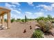 Landscaped backyard with desert plants at 20515 N 264Th Ave, Buckeye, AZ 85396