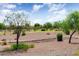 Landscaped view of the golf course at 20515 N 264Th Ave, Buckeye, AZ 85396