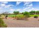 View of a lush green golf course at 20515 N 264Th Ave, Buckeye, AZ 85396