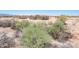 A beige single-story home with a covered patio sits on a large, desert landscape lot at 21916 W Duane Ln, Wittmann, AZ 85361