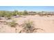 Desert landscape homesite with natural vegetation and dirt ground in Arizona at 21916 W Duane Ln, Wittmann, AZ 85361