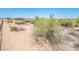 Uncultivated land showcasing desert vegetation with home in the background at 21916 W Duane Ln, Wittmann, AZ 85361