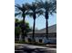 Community entrance featuring lush palm trees, landscaping, and decorative stone elements at 2441 W Beverly Rd, Phoenix, AZ 85041