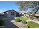 Backyard with artificial turf and desert landscaping at 24454 N 173Rd Ln, Surprise, AZ 85387