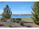 Scenic lake view with grassy areas and a fountain in a community setting at 24454 N 173Rd Ln, Surprise, AZ 85387