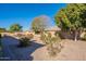 Landscaped backyard with a patio, gravel, and mature bushes at 2952 E Warbler Rd, Gilbert, AZ 85297