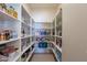 Well-organized pantry with ample shelving for storage at 2952 E Warbler Rd, Gilbert, AZ 85297