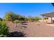 Landscaped backyard with gravel and desert plants at 3020 N 165Th Ave, Goodyear, AZ 85395