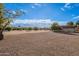 Gravel backyard with mature trees and shrubs at 4805 W Saguaro Park Ln, Glendale, AZ 85310