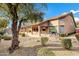 Landscaped backyard oasis with mature trees at 6429 E Everett Dr, Scottsdale, AZ 85254