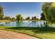 Pond with fountain, surrounded by lush greenery at 10714 W Saratoga Cir, Sun City, AZ 85351