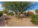 Landscaped backyard with mature trees and a brick pathway at 10949 W Sierra Pinta Dr, Peoria, AZ 85373