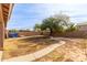 Landscaped backyard with grassy area and walkway at 11163 W Elm Ln, Avondale, AZ 85323