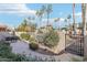 Landscaped courtyard with gate access and desert landscaping at 16615 N 30Th Ave, Phoenix, AZ 85053