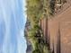 Red dirt path leads through Sonoran Desert towards mountains at 1828 W Owens Way, Anthem, AZ 85086