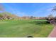 Expansive green lawn area perfect for recreation at 1828 W Owens Way, Anthem, AZ 85086