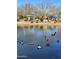 Ducks on a pond near a playground at 1828 W Owens Way, Anthem, AZ 85086