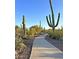 Paved path meanders through desert landscape with cacti at 1828 W Owens Way, Anthem, AZ 85086