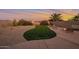 Landscaped backyard featuring a fire pit and artificial turf at 23699 N Oasis Blvd, Florence, AZ 85132