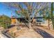 Landscaped front yard with a tree and a brick home with a wooden garage door at 5210 W Ironwood Dr, Glendale, AZ 85302