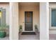 Inviting front entrance with a dark brown door and potted plants at 6015 E Calle De Las Estrellas --, Cave Creek, AZ 85331